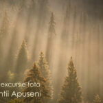 Aventură și excursie foto în Munții Apuseni, 4 – 6 septembrie 2026