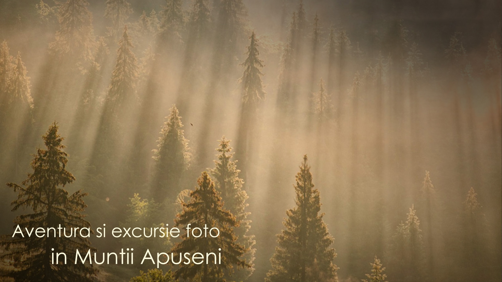 apuseni_landscape